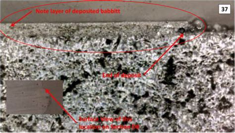 Survey of Damage Investigation of Babbitted Industrial Bearings