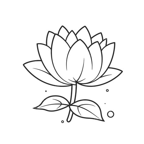 Lotus Flower Outline Designs