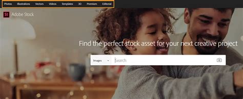 Adobe Stock Downloader 的图像结果