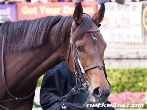 イサベル (Isabel) | 競走馬データ - netkeiba