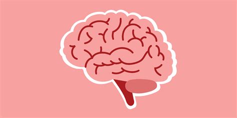 Image result for Trauma Brain Development