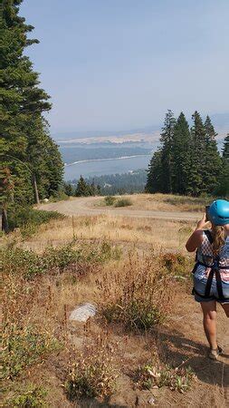 Tamarack Zipline Tours - Tamarack | Tripadvisor