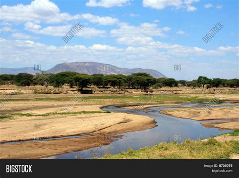 Ruaha River African Image & Photo (Free Trial) | Bigstock