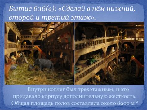 Ноев ковчег презентация, доклад