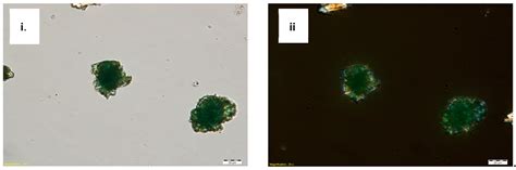 Characterization of Green Paints in Ming and Qianlong Dynasties’ Lin’xi ...