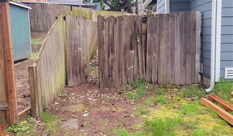 Expert Fence, Artificial Grass, Deck Company | Ergeon