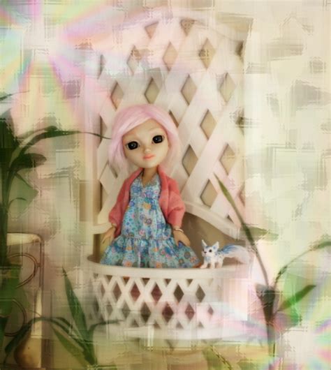 Image result for GIMP Basic Photo Editing