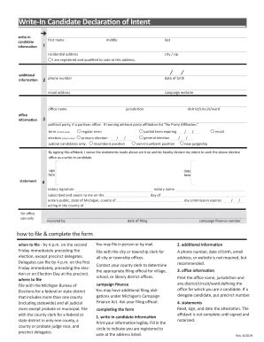 2019-2025 Form MI Write-In Candidate Declaration of Intent Fill Online ...