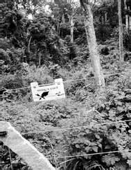 Protecting the endangered