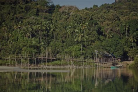 Goa Weather in January | Thomas Cook