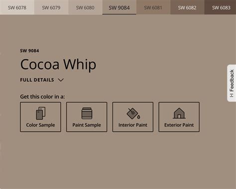 Sherwin Williams Cocoa Whip SW9084 Paint Color Scheme