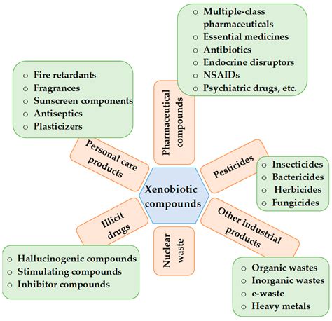 Examples Of Xenobiotics