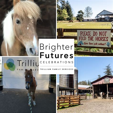 Trillium Family Services on LinkedIn: #brighterfuturescelebrations # ...