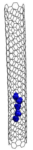 chain of water molecule inside nanotube