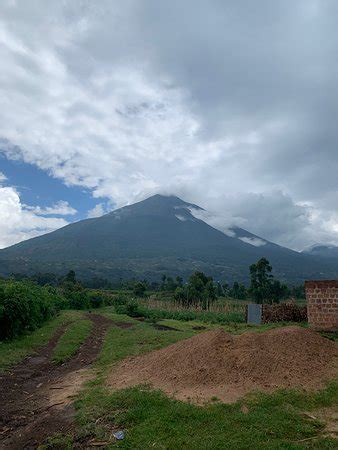 Virunga Gorilla Tours and Eco Safaris - Kisoro | Tripadvisor