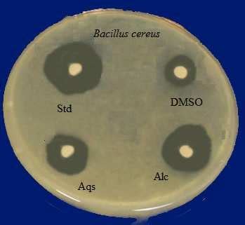 Image result for Cup Plate Method Exp
