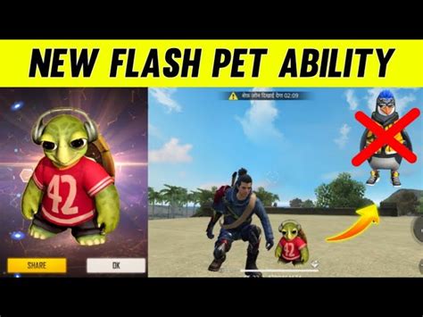 5 best Free Fire MAX pets to use for rank push in June 2022