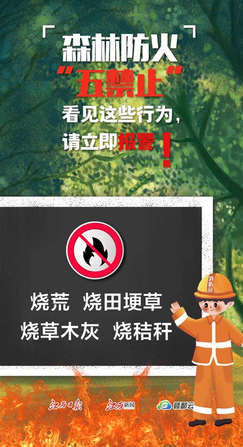 森林防火“五禁止”！看见这些行为，请立即报警！ 江西新闻_最权威的江西主流媒体
