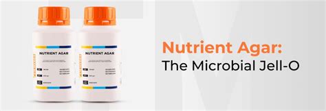 Nutrient Agar: Composition, Preparation And Applications