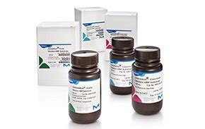 Immunodetection Reagents & Substrates