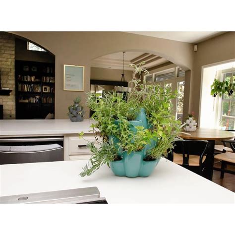 Red Star 8-in W Blue Ceramic Planter CACTI-T at Lowes.com