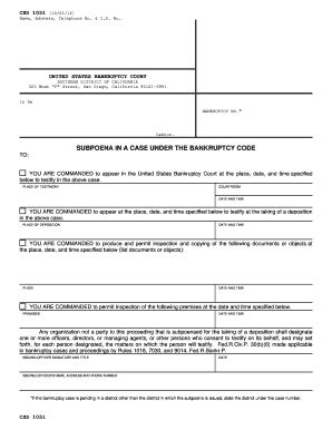 US Bankruptcy Court Subpoena - Blank Fillable Template | Fill Out ...