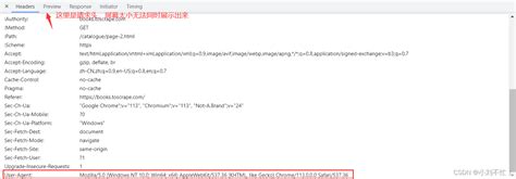 Python Get 的图像结果