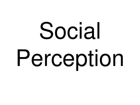 Social Perception Example 的图像结果