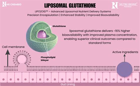 Nutri Rione Liposomal Glutathione – Encapsulated Technology for ...
