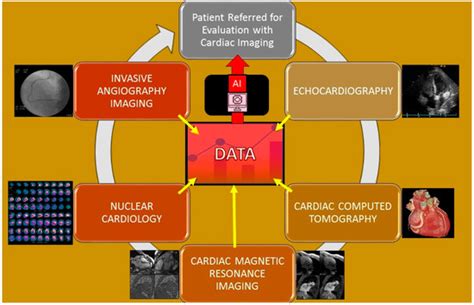 Healthcare | January 2022 - Browse Articles