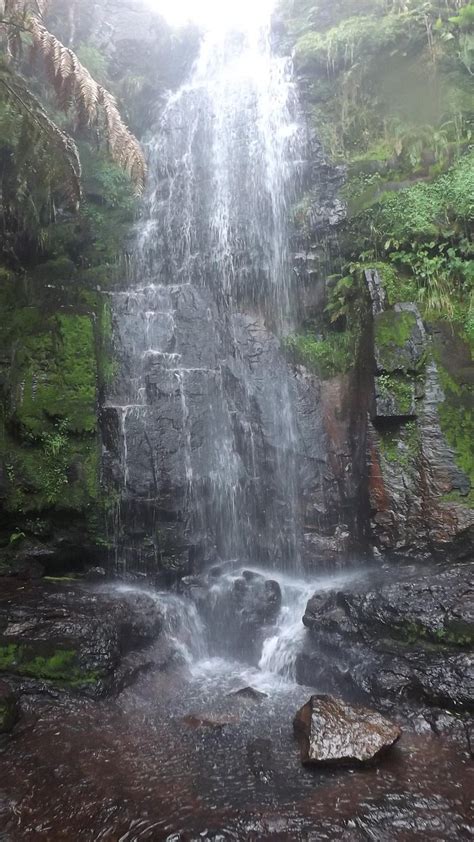 POUSADA FAZENDA DA CRUZINHA (Sao Jose dos Ausentes) - Lodge Reviews ...