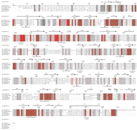 Improvement of Laccase Production by Thielavia terrestris Co3Bag1 ...