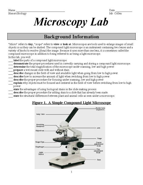 Image result for Lab Week Microscope