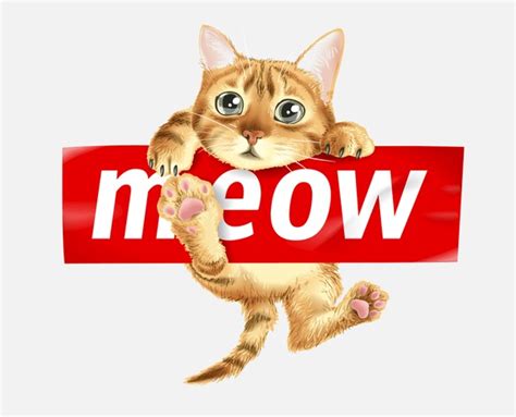 Image result for Example Image of Normal CSS to React JS