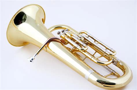 Image result for Different Types of Horns Instruments