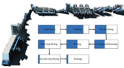 Image result for Tea Processing Steps
