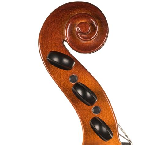 Image result for Five String Instruments