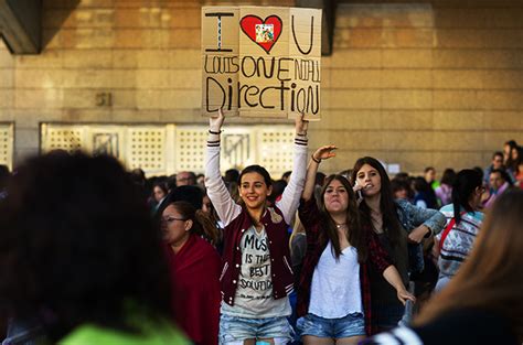 Image result for One Direction Concert Fan Project