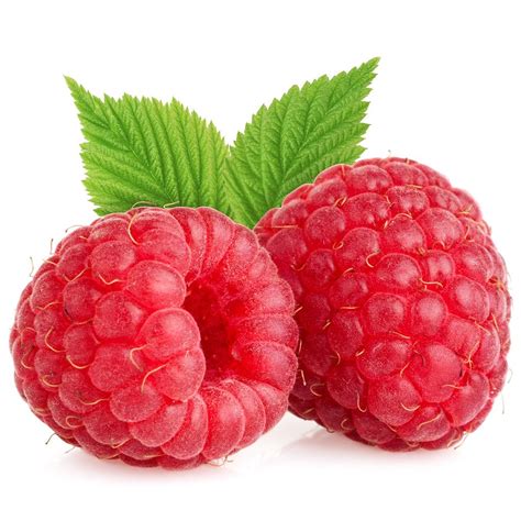 Image result for Raspberry Pi OS Lite Ffplay