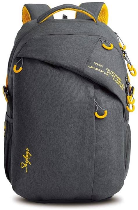 Skybags ION 02 Grey 36 L Backpack Grey - Price in India | Flipkart.com