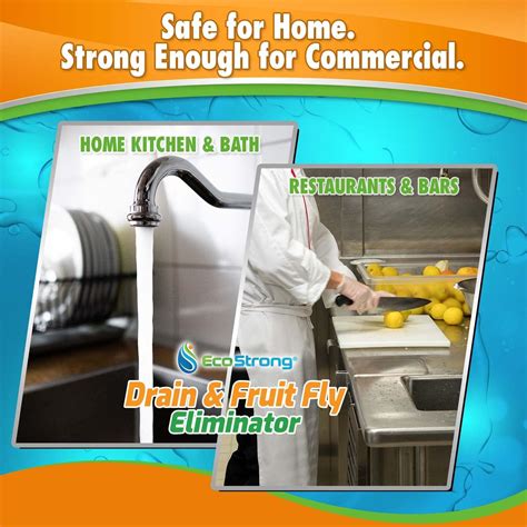 Buy Fruit Fly Drain Treatment | Drain Fly Eliminator | All-Natural ...