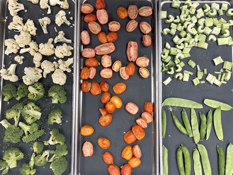 Tips for Freeze Drying at Home - Cooperative Extension: Food & Health ...