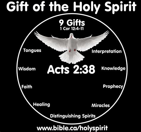 Holy Spirit in the New Testament The Gift of the Holy Spirit