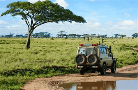 Gay Group Trip: Luxury Safari in Africa — Luxury South Africa Gay Vacations