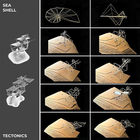 NAUTILUS WATCHTOWER | CEPT - Portfolio