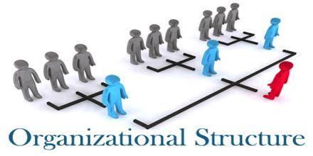Label the Organizational Structure 的图像结果
