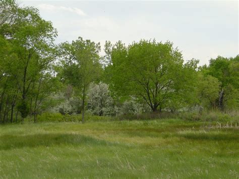 Fountain Creek Regional Park - Fountain, CO - Uncover Colorado