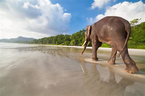 Andaman Havelock Island Tour Package