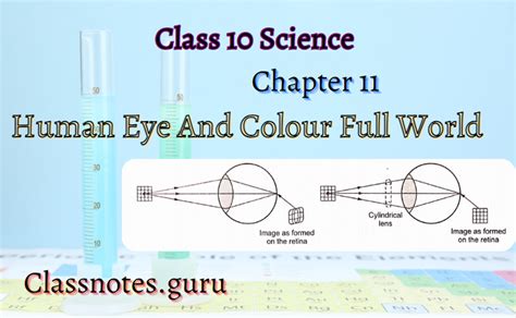 Class 10 Science Chapter 11 Topic Eyes 的图像结果
