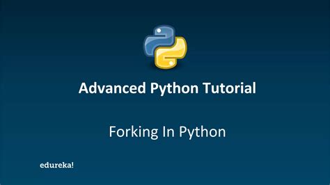Edureka Python Tutorial 的图像结果